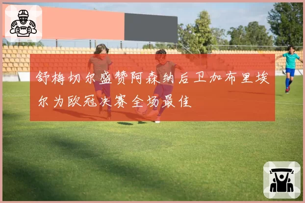 舒梅切尔盛赞阿森纳后卫加布里埃尔为欧冠决赛全场最佳